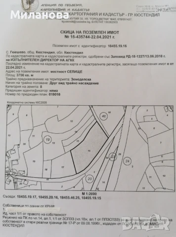 Продавам земеделска земя с.Гюешево., снимка 7 - Земеделска земя - 50913537