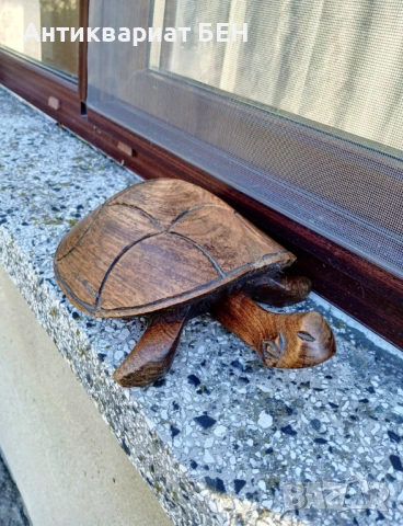 „ДЪРВЕНА КОСТЕНУРКА“ 🐢