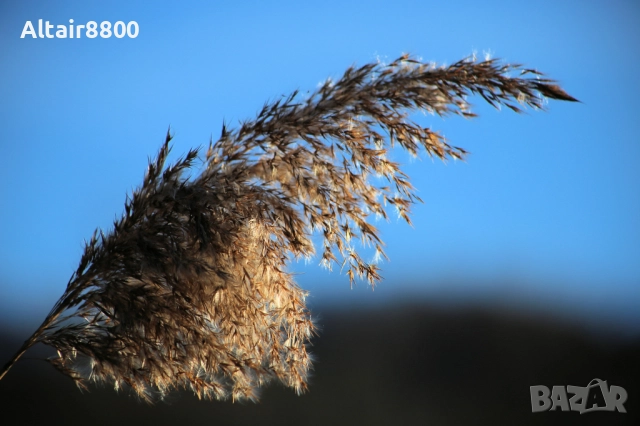 Canon 75-300mm f/4-5.6 II EF обектив Канон #3/3, снимка 9 - Обективи и филтри - 52344875