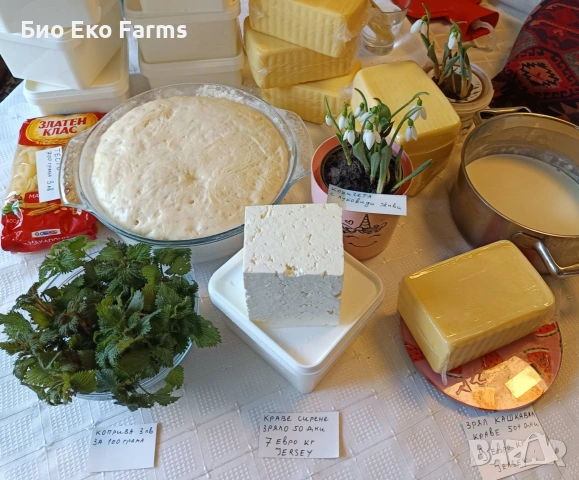 Домашно зряло сирене и кашкавал, снимка 2 - Домашни продукти - 54295565