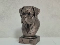 Boxer Dog Bust / Боксер куче Бюст, снимка 4