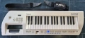 Roland Lucina AX-09 Synth Keytar (синтезатор-китара), снимка 2