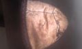 Носия Антики кожени калпаци , снимка 1