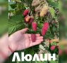 Тук сте на правилното място, снимка 2