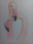 Влюбени фламинги - картина рисувана с моливи, снимка 1