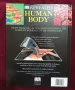 Енциклопедия на човешкото тяло / Human Body, снимка 7