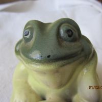 Порцеланова жаба - за зевзеци, снимка 1 - Други - 45838832