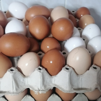 Домашни яйца , снимка 1 - Кокошки и пуйки - 44961281