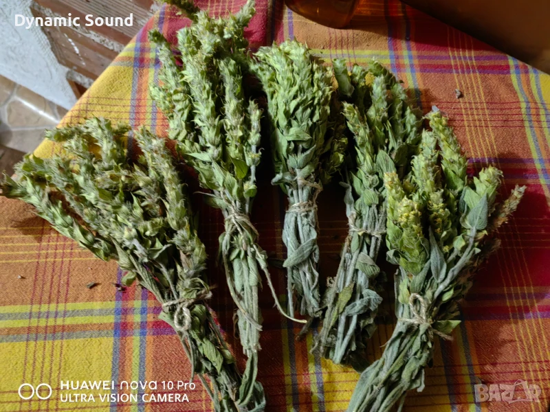 Мурсалски планински чай от Родопите  -  5 връзки за 10лв!, снимка 1