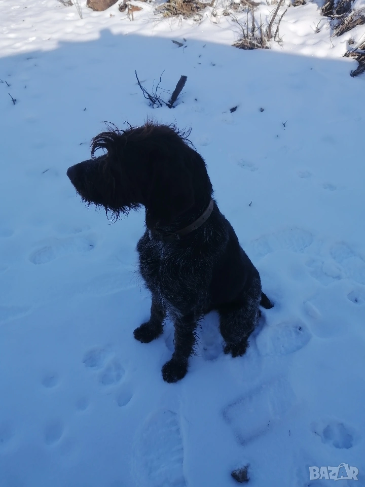 дратхар , снимка 1