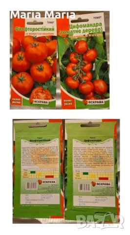 семена на домати /не хибридни/, снимка 6 - Сортови семена и луковици - 53225599