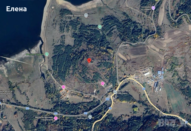 Ливада Цигов чарк гр. Батак, снимка 3 - Земеделска земя - 53331617