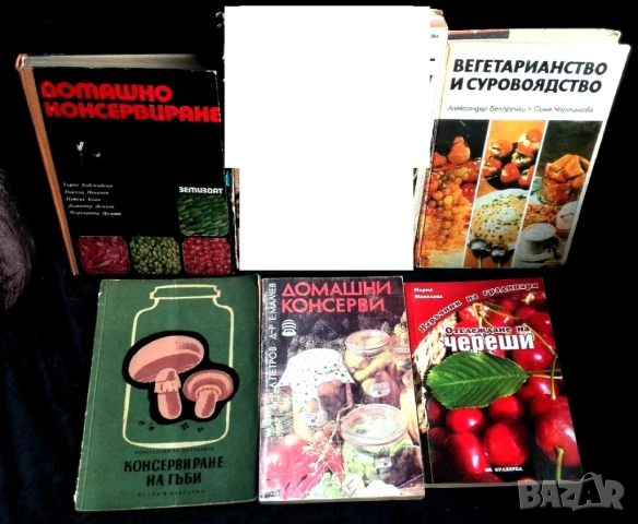 Стари книги, снимка 14 - Други - 51359944