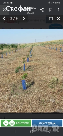 Земелка земя, снимка 4 - Земеделска земя - 53332621