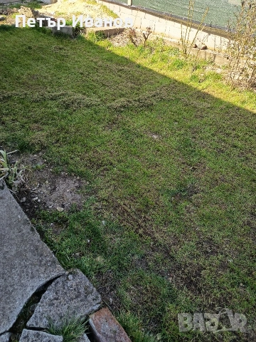 Косене на дворове, райграс, аериране, кастрене на клони, снимка 7 - Други услуги - 50847139