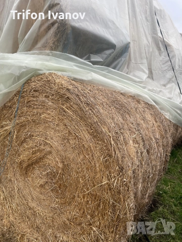 Бали, снимка 4 - За селскостопански - 52973043