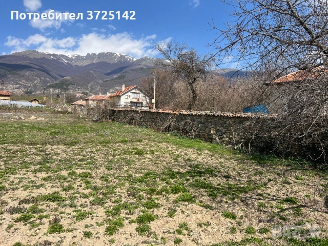 Голям, слънчев парцел, снимка 4 - Парцели - 54017537