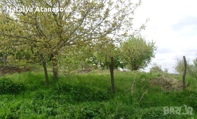 Купете новия си имот в анклава на Ведрина!, снимка 8 - Къщи - 28141058