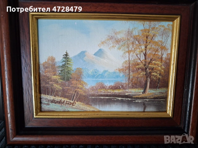 Картини маслени с красиви рамки и подпис на художника., снимка 2 - Декорация за дома - 53704932