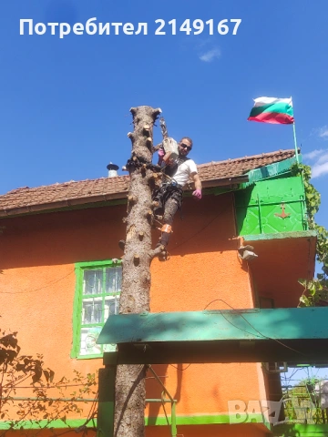 Рязане почистване извозване , снимка 2 - Други услуги - 53743500