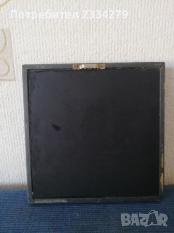 Стари зъби бивни от диво прасе, глиган, снимка 2 - Антикварни и старинни предмети - 53642385