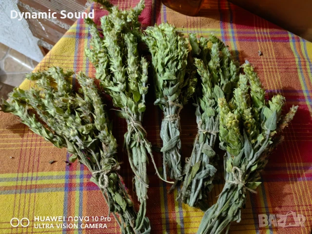 Мурсалски планински чай от Родопите  -  5 връзки за 10лв!