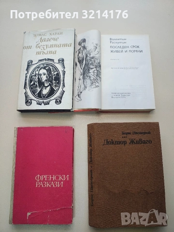 Последен срок; Живей и помни - Валентин Распутин, снимка 2 - Художествена литература - 53233032