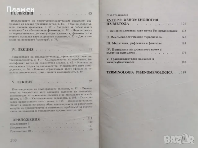 Идеята за феноменологията. Пет лекции Едмунд Хусерл, снимка 3 - Други - 48601243