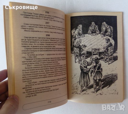 Гневът на викингите - Майкъл Майндкрайм книга-игра Плеяда, снимка 7 - Детски книжки - 46589264