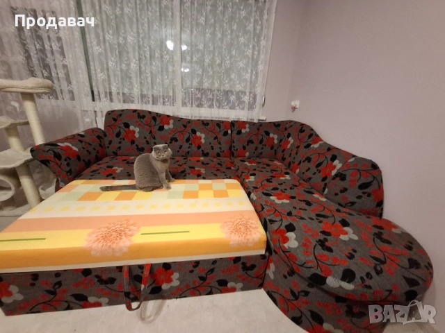 Отлично запазен диван с опция сън и ракла, снимка 2 - Дивани и мека мебел - 53071935