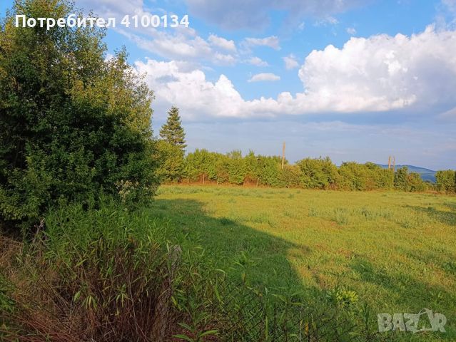 Продават се 2 прекрасни имота в село Извор, Пернишко, снимка 4 - Парцели - 45769828