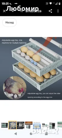 Инкубатор за яйца с автоматично завъртане за патешки яйца за гъши пъдпъдъчи яйца

, снимка 5 - За птици - 48095722