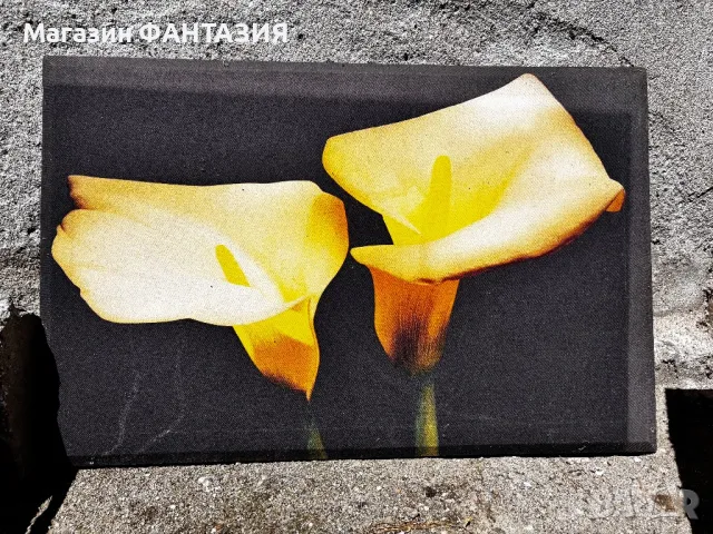 Картини от Италия в различни размери , снимка 6 - Картини - 50332692