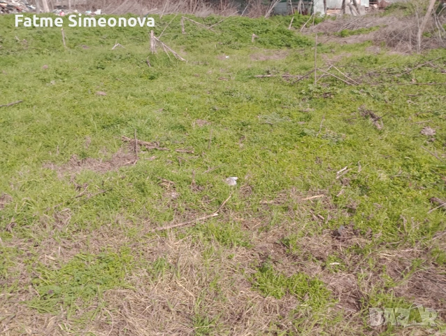 дворно място от собственик , снимка 5 - Парцели - 53866964