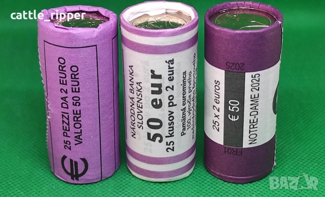 2 евро 2025 Франция "Notre-Dame", снимка 3 - Нумизматика и бонистика - 53770922