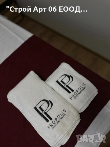 Хотел Прополис, снимка 3 - Хотели - 52674929