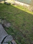 Косене на дворове, райграс, аериране, кастрене на клони, снимка 7