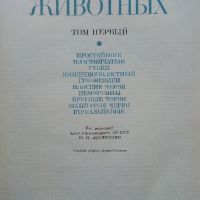 Енциклопедия "Жизнь животных" в седем тома, снимка 3 - Енциклопедии, справочници - 45322603