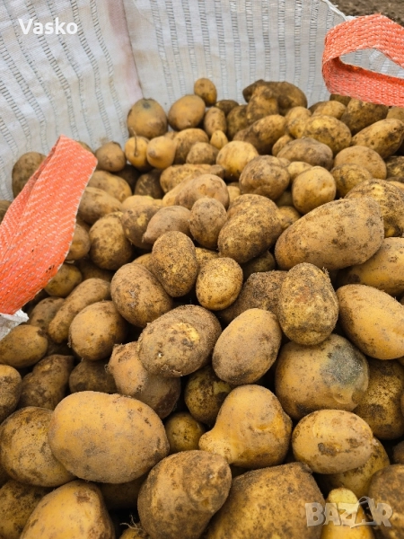 Продавам Картофи , снимка 1