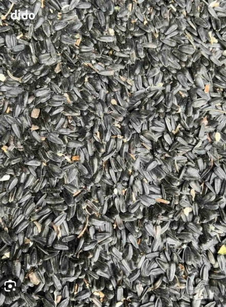 Продавам слънчоглед реколта 2025г , снимка 1