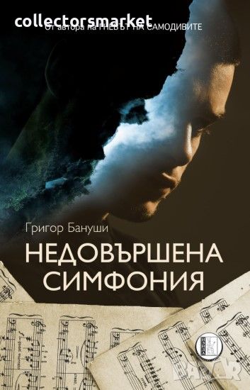 Недовършена симфония, снимка 1