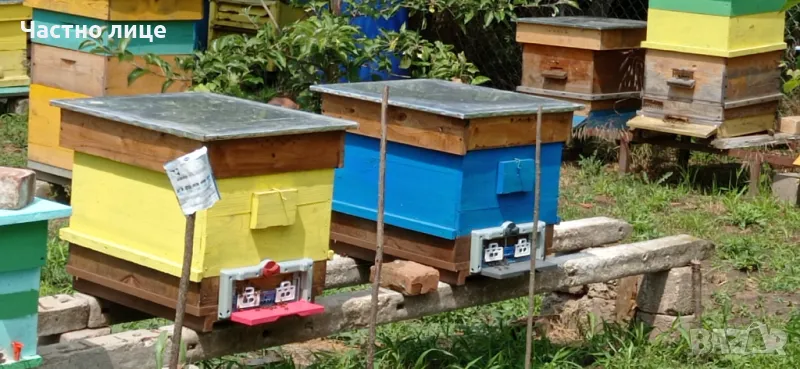 Кошери 10 рамкови, снимка 1