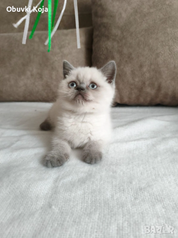 Не е красива просто е уникална свикнало с малко дете, снимка 1