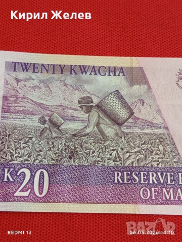 Екзотична банкнота МАЛАВИ много красива перфектно състояние непрегъвана за КОЛЕКЦИЯ 53904, снимка 6 - Нумизматика и бонистика - 53734673