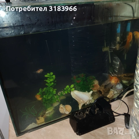 голям аквариум с рибки оборудван 50 х 40 х 24, снимка 5 - Аквариуми - 53830698