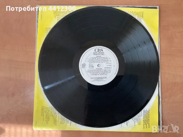 Грамофонна плоча 12”, снимка 4 - Грамофонни плочи - 49732645