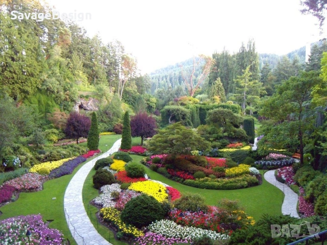 Професионално поддържане на градини с топ техника – най-добрите цени в България!, снимка 2 - Други услуги - 53111271