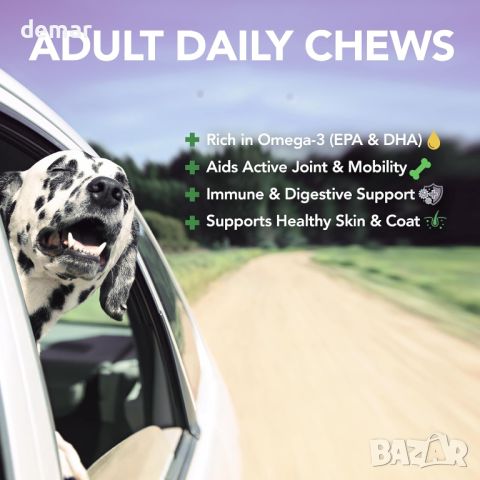 Vet's Best Daily Soft Chews - Добавки за възрастни кучета 180 хапки, снимка 5 - За кучета - 45795682