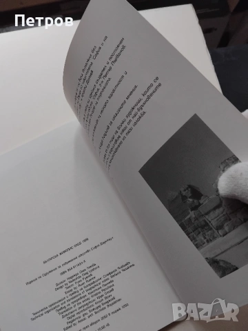 Българско съвременно изкуство: Българска живопис след 1989, снимка 12 - Специализирана литература - 45020099