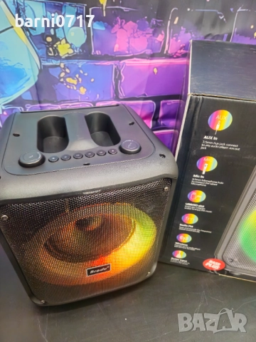 Преносима Bluetooth Тонколона BRODU BTS-1739, снимка 3 - Bluetooth тонколони - 52539072